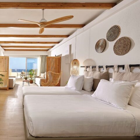 Gallery | Blue Marine